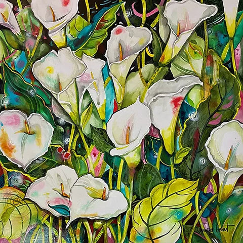  Calla Lilies